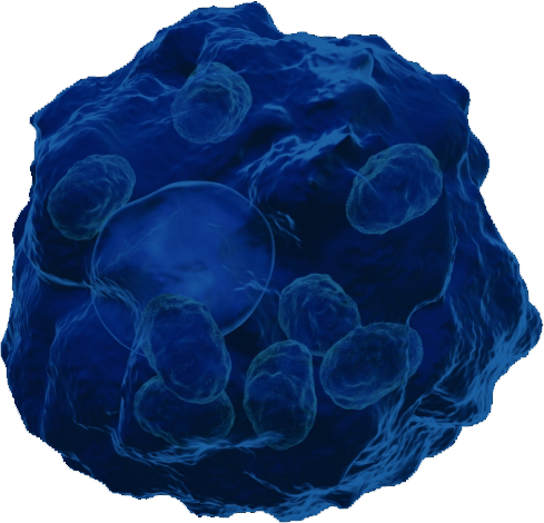 interactive macrophage phenoytype image